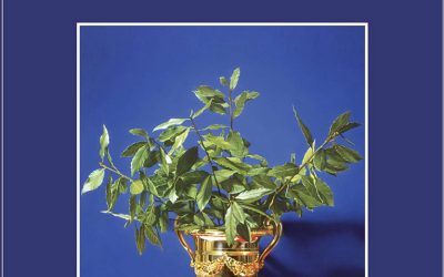 Ἀγωνοθεσίας τὰ Ἀπολλώνεια, Ἀσκληπιεῖα καὶ Καισάρεια. Τεκμήρια ἀγωνοθεσίας καὶ ἀγωνοθετῶν στὶς ἐπιγραφὲς Ἐπιδαύρου